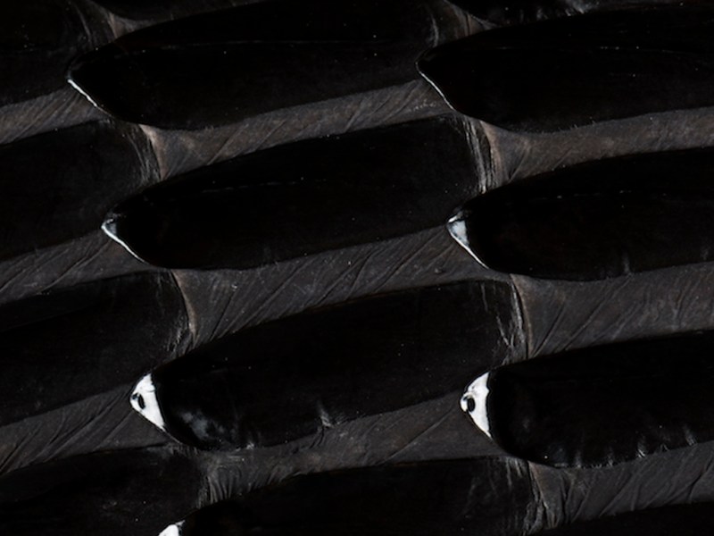 Magnifier le regard – Arnaud Vareille invite à une mise au point