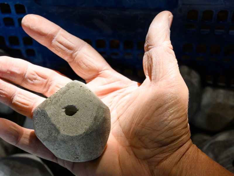 Caroline Desnoëttes, artiste militante de l’ère de l’anthropolithique