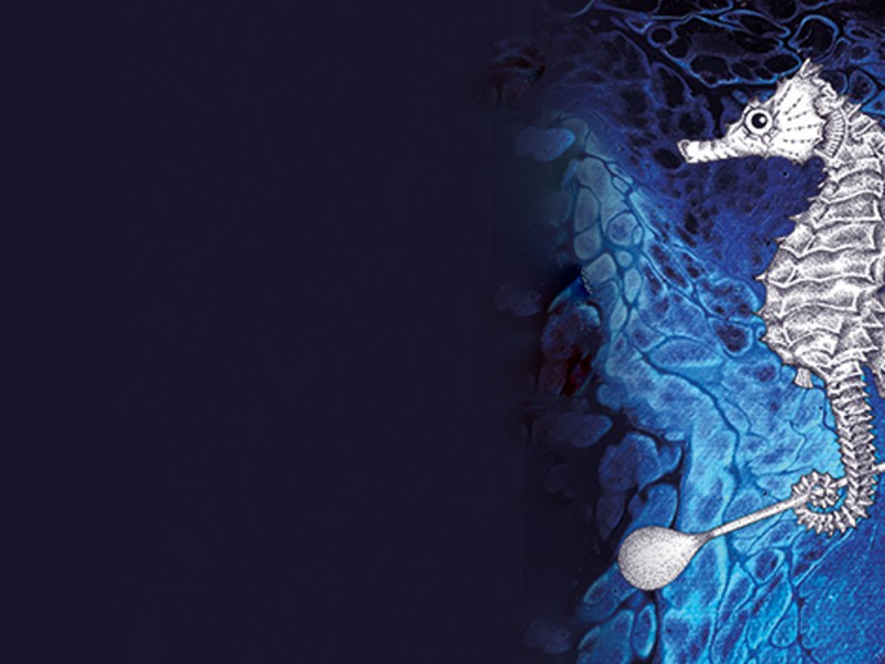 ARTivist Janina Rossiter draws the blue line to protect the Ocean